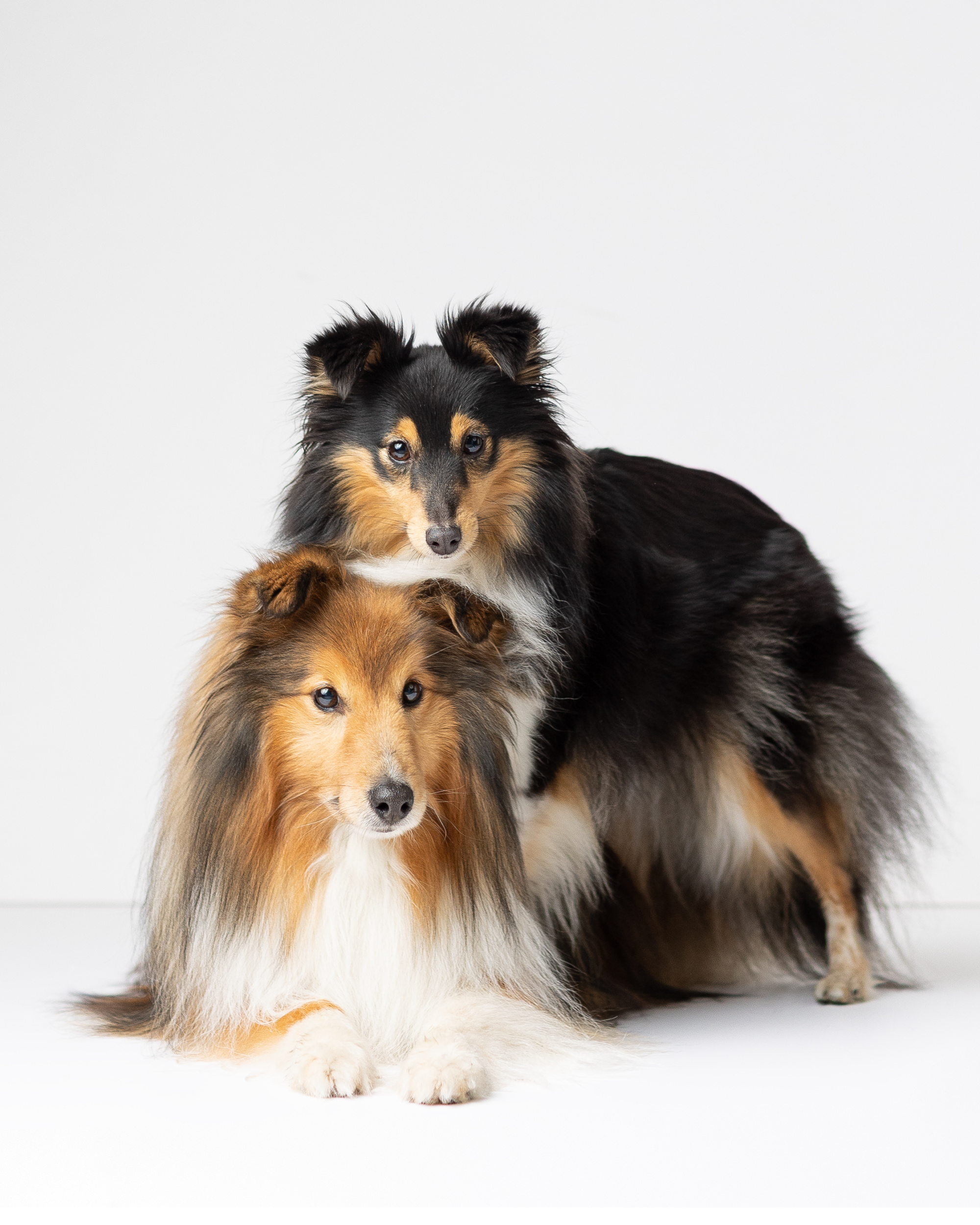  oto8474 copy nettside